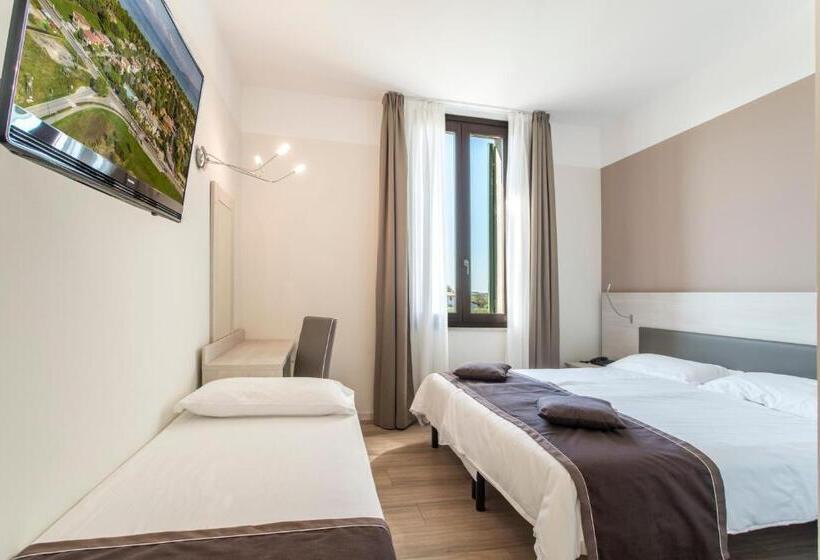 Номер Стандарт, Dogana