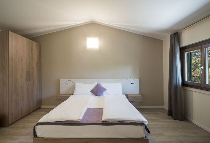 Номер Стандарт, Dogana