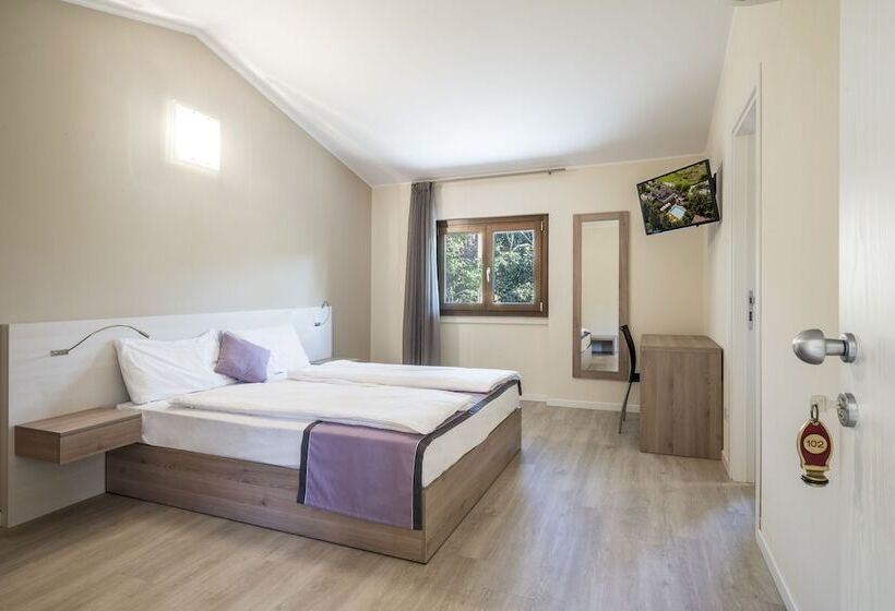 Номер Стандарт, Dogana