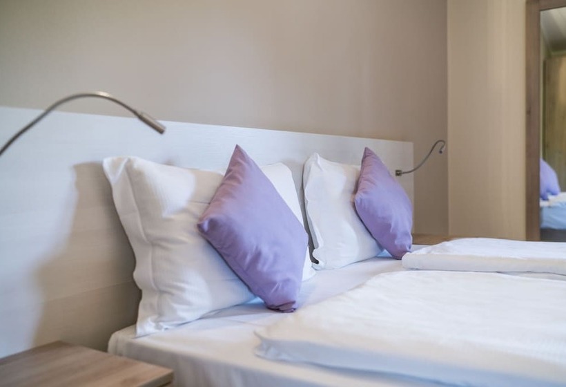 Номер Стандарт, Dogana