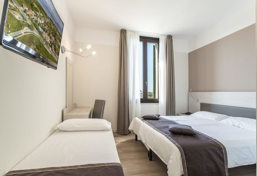 Номер Стандарт, Dogana