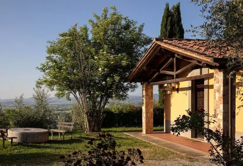 Superior-huoneisto 1 Makuuhuone, Il Poggio Degli Olivi