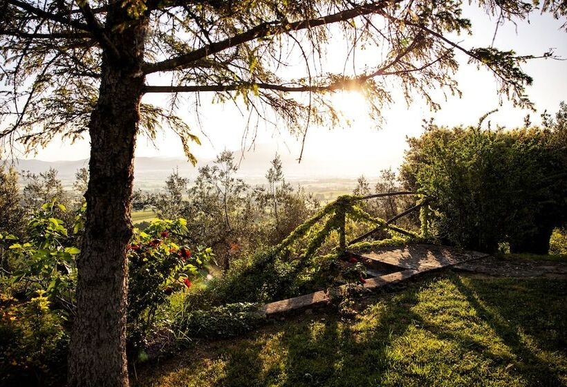 Номер Superior, Il Poggio Degli Olivi