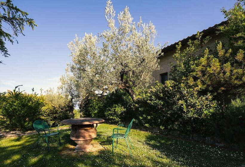 Номер Superior, Il Poggio Degli Olivi