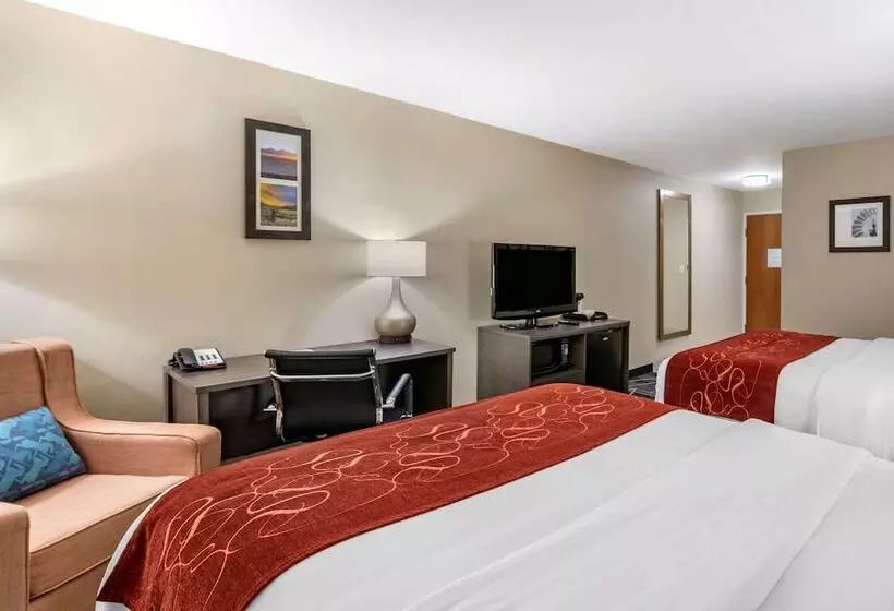 اتاق استاندارد, Comfort Inn & Suites