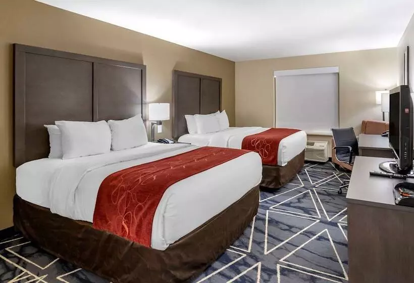 اتاق استاندارد, Comfort Inn & Suites
