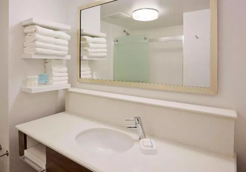 سوئیت با تخت بزرگ, Comfort Inn & Suites