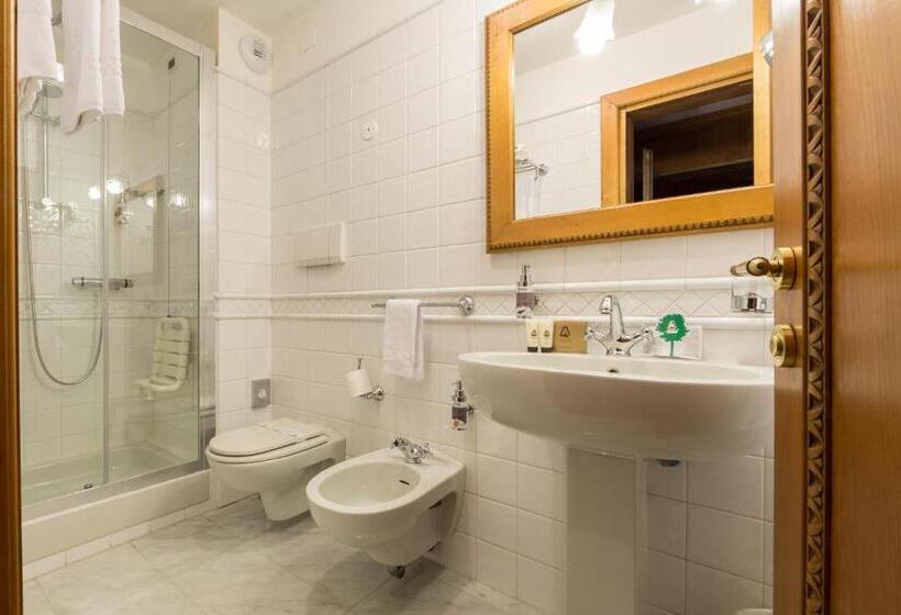 스탠다드 싱글 룸, Gran Baita Hotel & Wellness