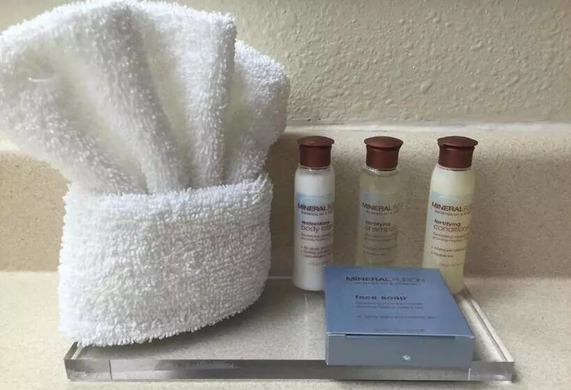 اتاق استاندارد, Hawthorn Suites By Wyndham Albuquerque