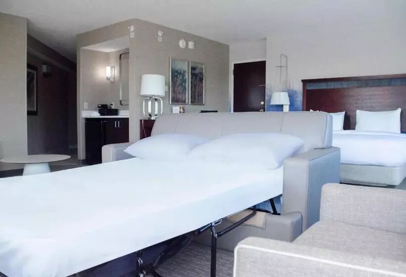 Sviitti King-vuode, Minneapolis Marriott West