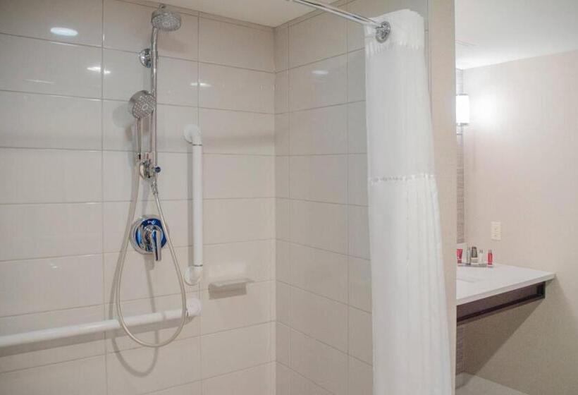 غرفة ديلوكس لذوى الاحتياجات الخاصة, Minneapolis Marriott West