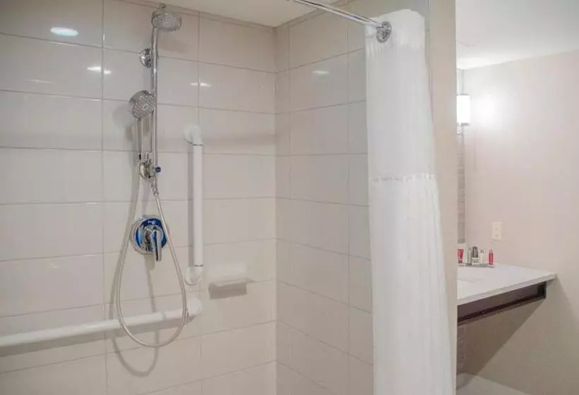 Deluxe-huone Soveltuu Liikuntarajoitteisille, Minneapolis Marriott West