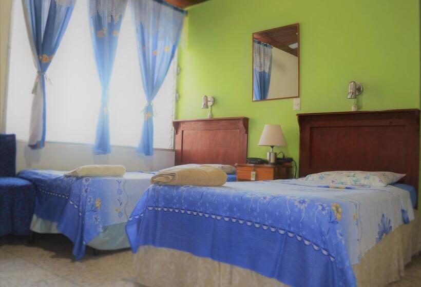 اتاق راحتی سه تخته, Oasis