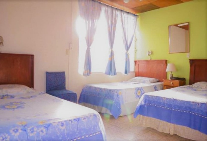 اتاق راحتی سه تخته, Oasis