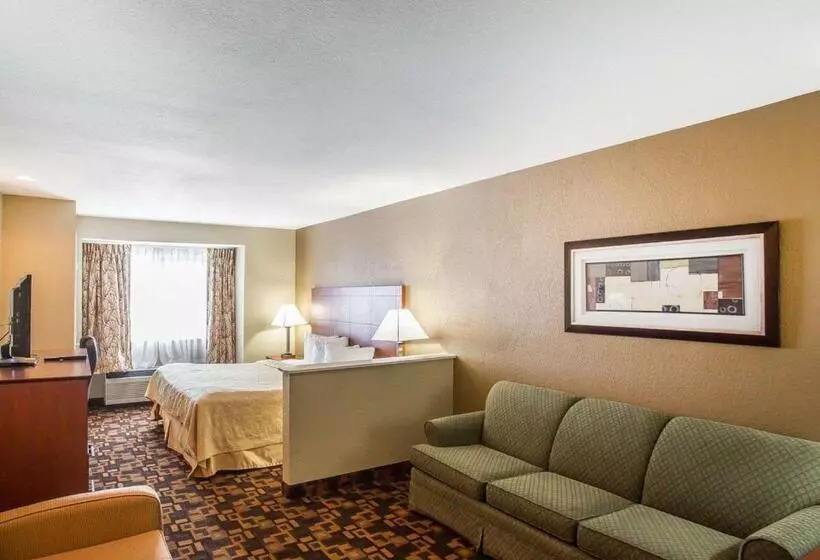 キングサイズベッドのスイートルーム, Quality Inn & Suites