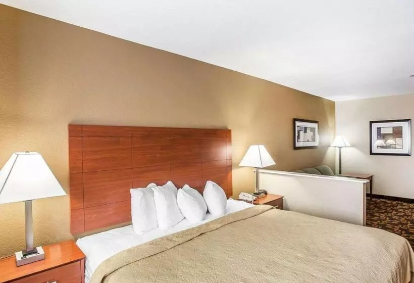 キングサイズベッドのスイートルーム, Quality Inn & Suites