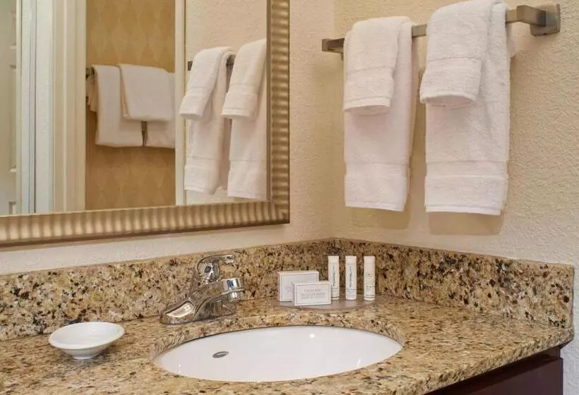 استودیو استاندارد با تخت کینگ, Residence Inn By Marriott Saginaw