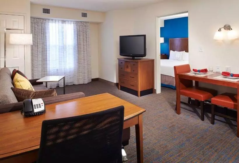 سوئیت با تخت بزرگ, Residence Inn By Marriott Saginaw