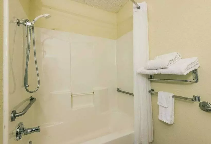 身障者適用スタンダードルーム, Microtel Inn & Suites By Wyndham Auburn