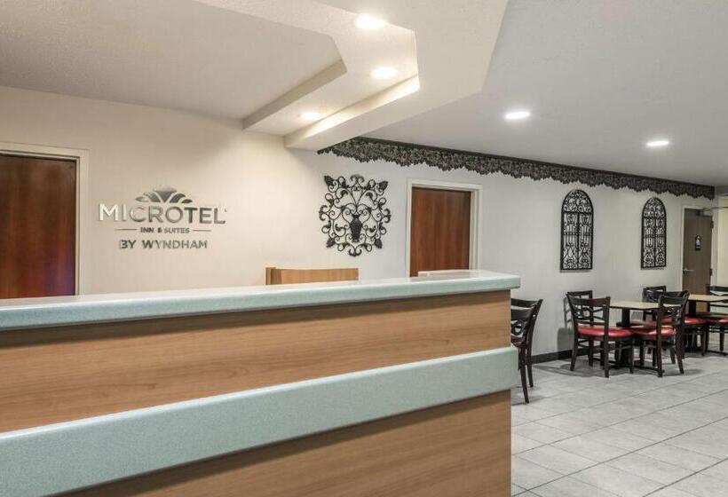 جناح, Microtel Inn & Suites By Wyndham Auburn