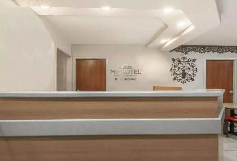 スイート, Microtel Inn & Suites By Wyndham Auburn
