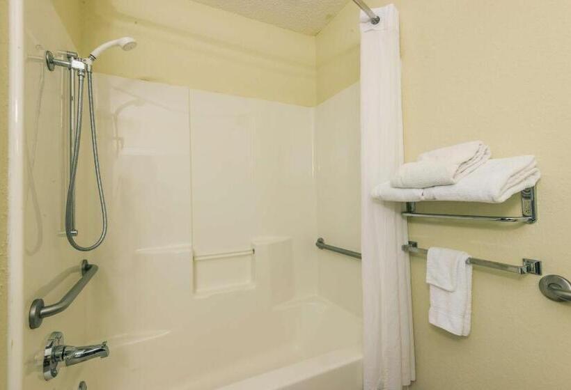 جناح, Microtel Inn & Suites By Wyndham Auburn