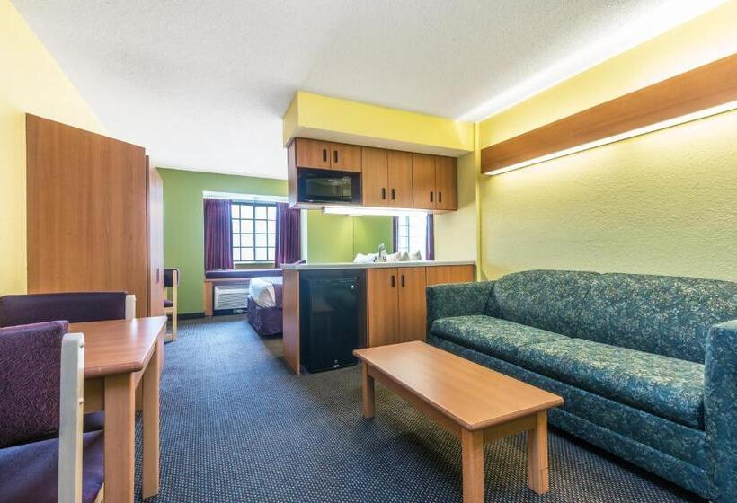 جناح, Microtel Inn & Suites By Wyndham Auburn