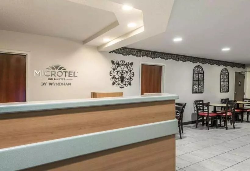 障害者適応デラックスルーム, Microtel Inn & Suites By Wyndham Auburn