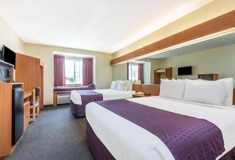 障害者適応デラックスルーム, Microtel Inn & Suites By Wyndham Auburn