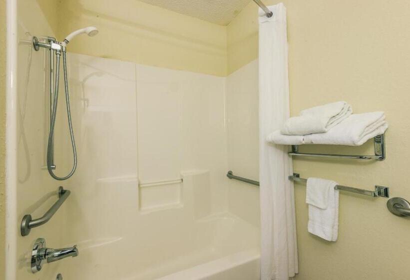 غرفة ديلوكس لذوى الاحتياجات الخاصة, Microtel Inn & Suites By Wyndham Auburn