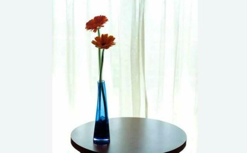 סוויטת ג'וניור, Hodelpa Garden Court