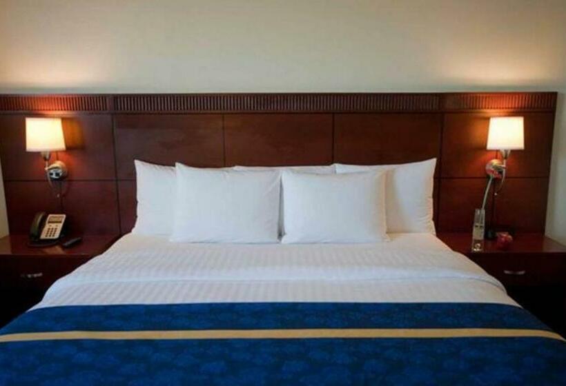 חדר אקזקיוטיב, Hodelpa Garden Court