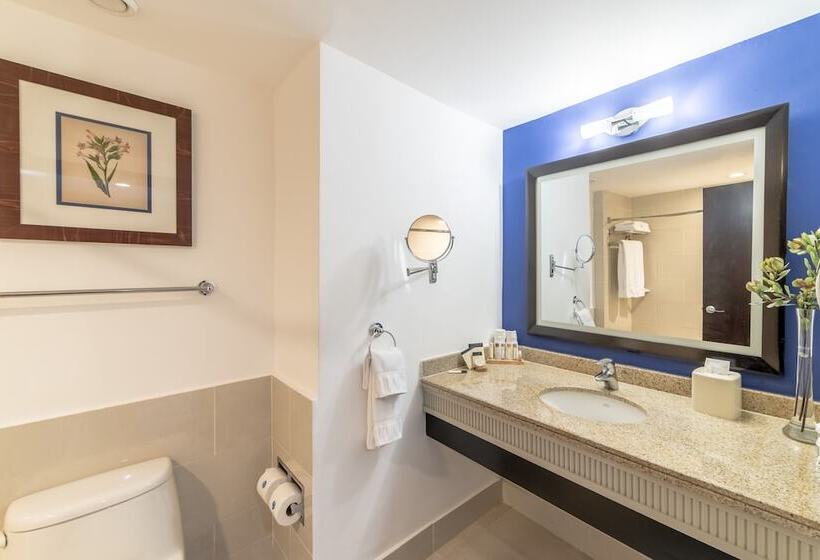 סוויטת ג'וניור, Hodelpa Garden Court