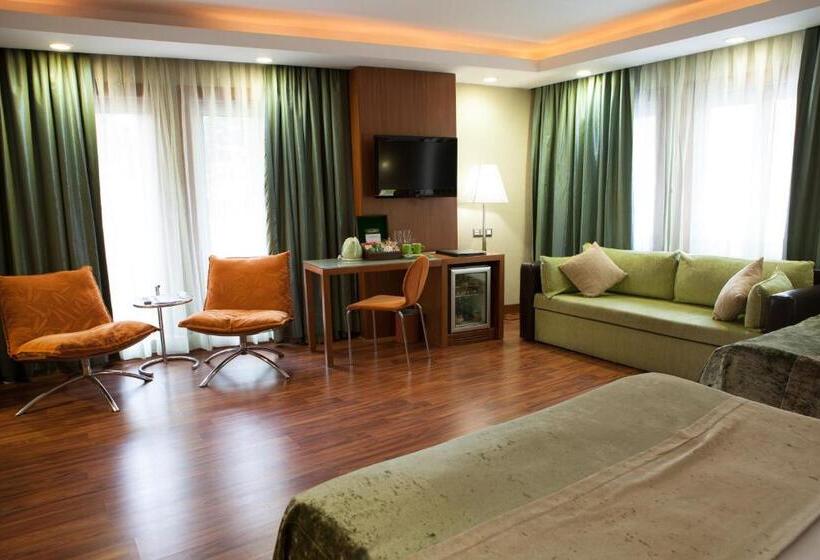 جناح سوبيريور, Limak Ambassadore Hotel Ankara