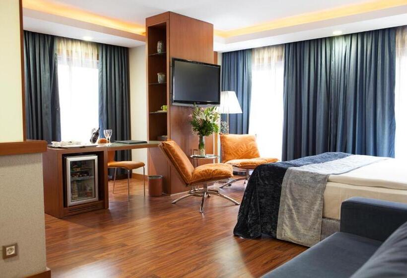 جناح إدارى, Limak Ambassadore Hotel Ankara