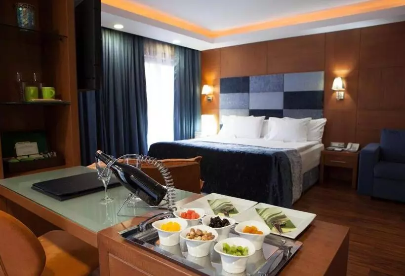 سوییت اجرایی, Limak Ambassadore Hotel Ankara