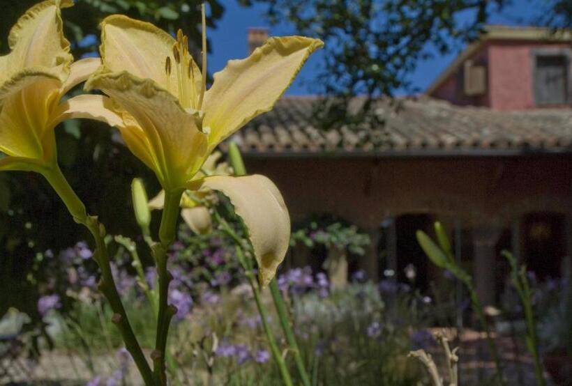 スタンダードルーム, Lucrezia