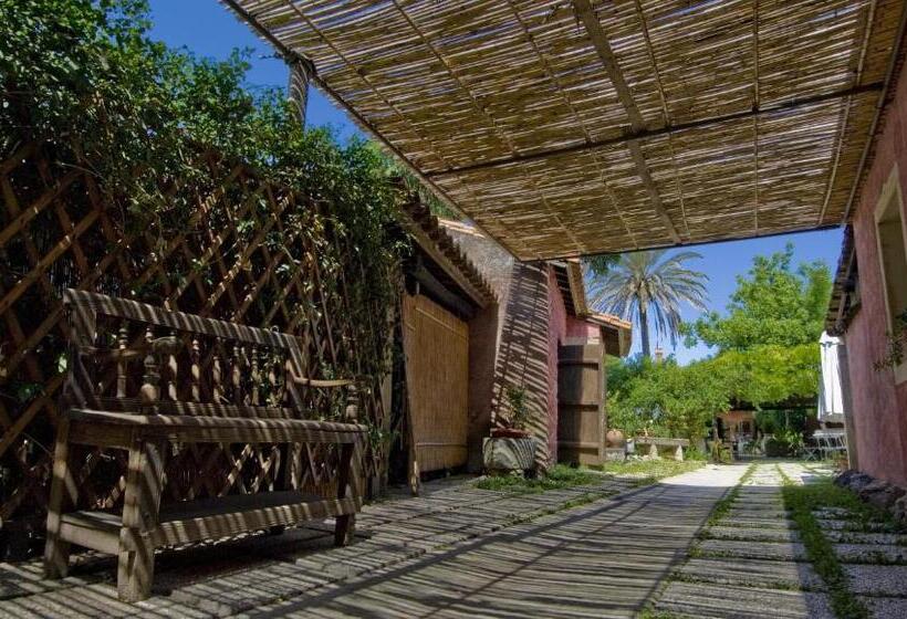 スタンダードルーム, Lucrezia