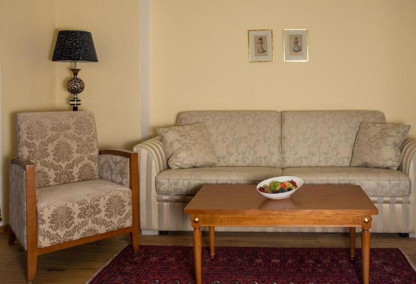 バルコニー付きスタンダードルーム, Seehotel Grüner Baum