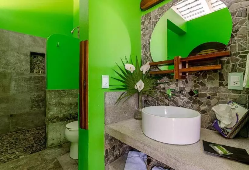 اتاق استاندارد با تخت بزرگ, Suites La Hacienda