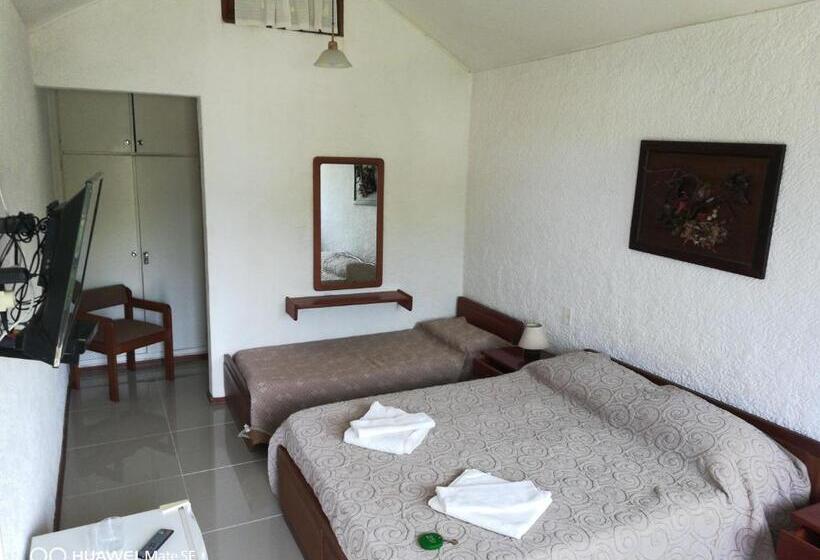 高级大房间, Yeruti