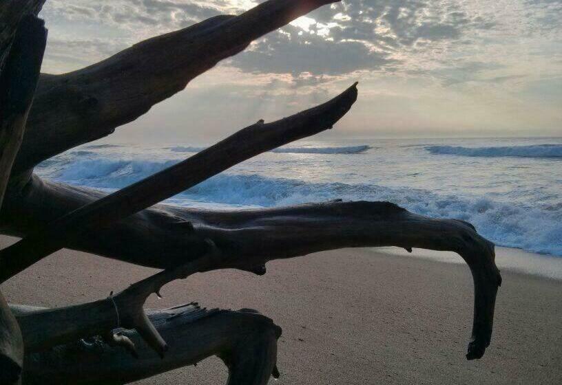 غرفة عائلية, Anchorage B&b