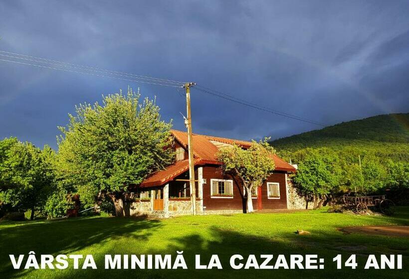 غرفة قياسية ثلاثية, Casa Bunicului