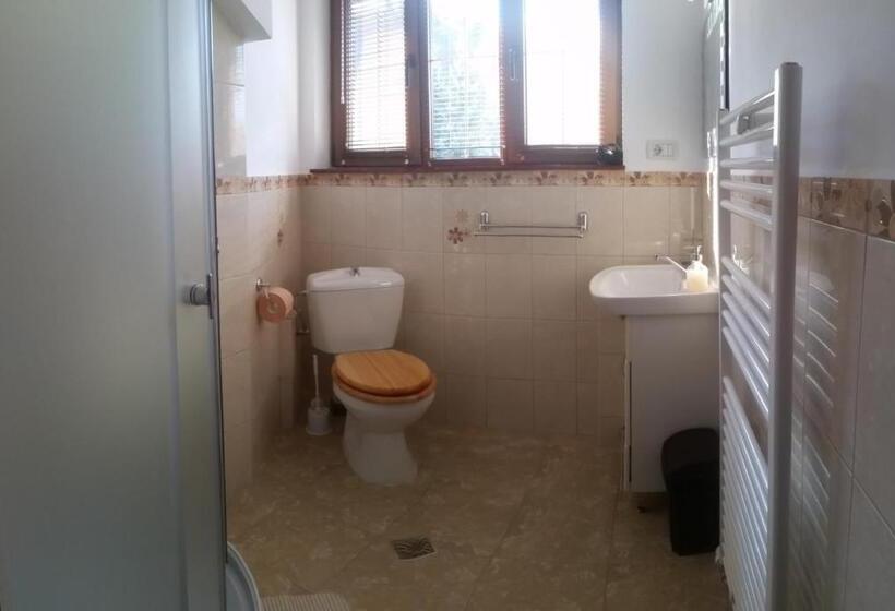 غرفة أساسية, Casa Bunicului