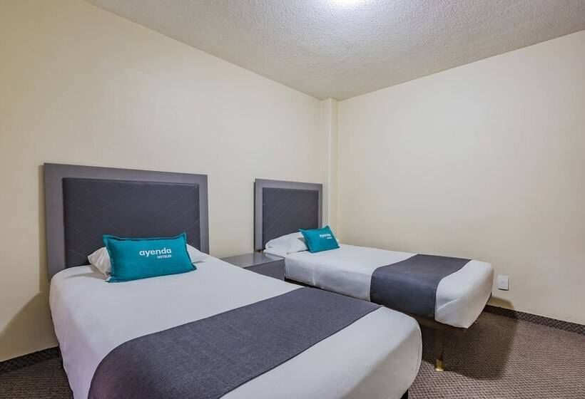 اتاق سوپریور سه تخته, Capital O Suites Marne Cdmx