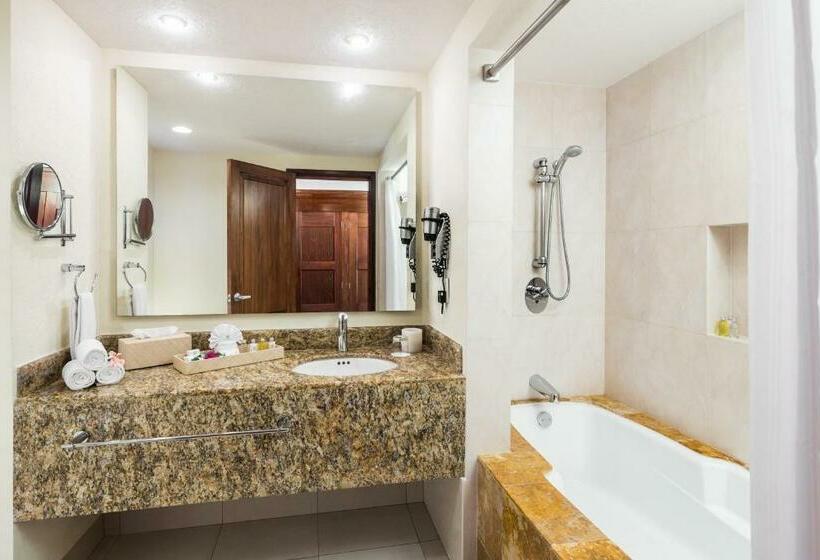 חדר דלוקס נוף לגינה, Bluebay Grand Esmeralda - All Inclusive