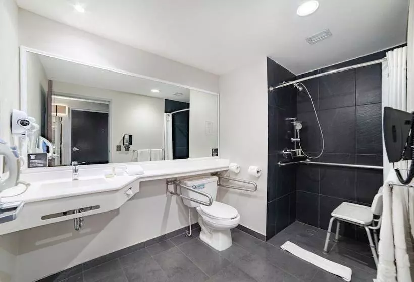 ２ダブルベッドのスタンダードルーム, City Express Plus By Marriott Ciudad De México Insurgentes Sur