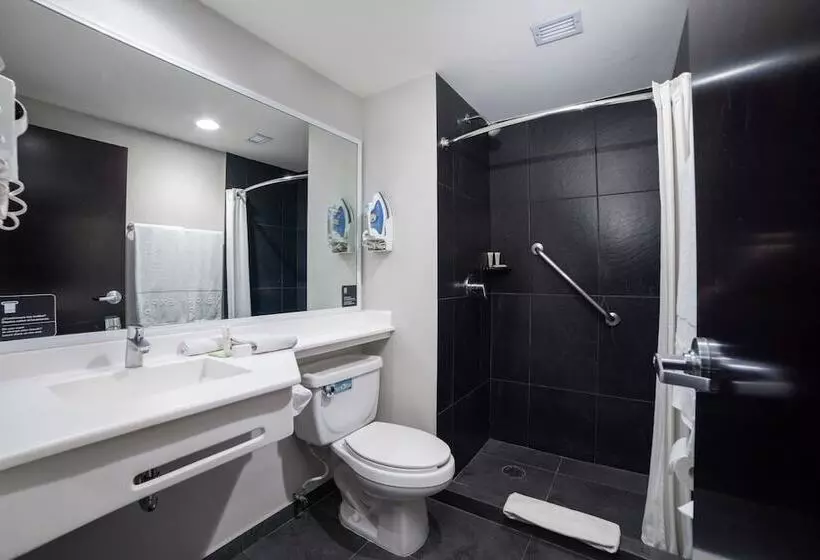 ２ダブルベッドのスタンダードルーム, City Express Plus By Marriott Ciudad De México Insurgentes Sur