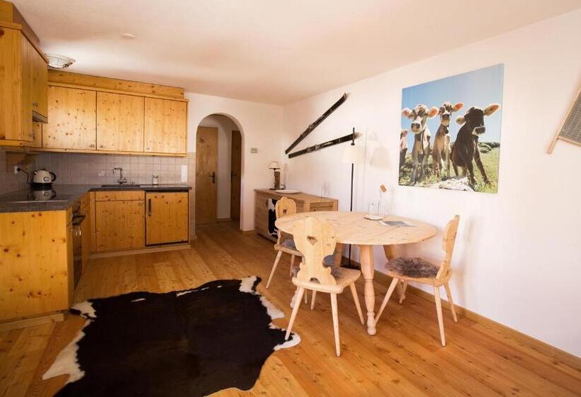 דירה בת חדר שינה 1 עם מרפסת, Madrisajoch