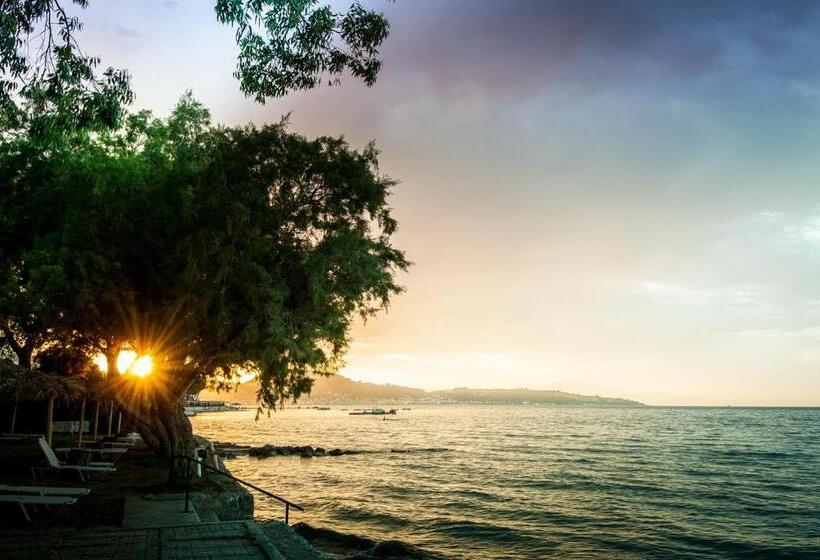 آپارتمان 1 خوابه با چشم‌انداز دریا, Mimoza Beach